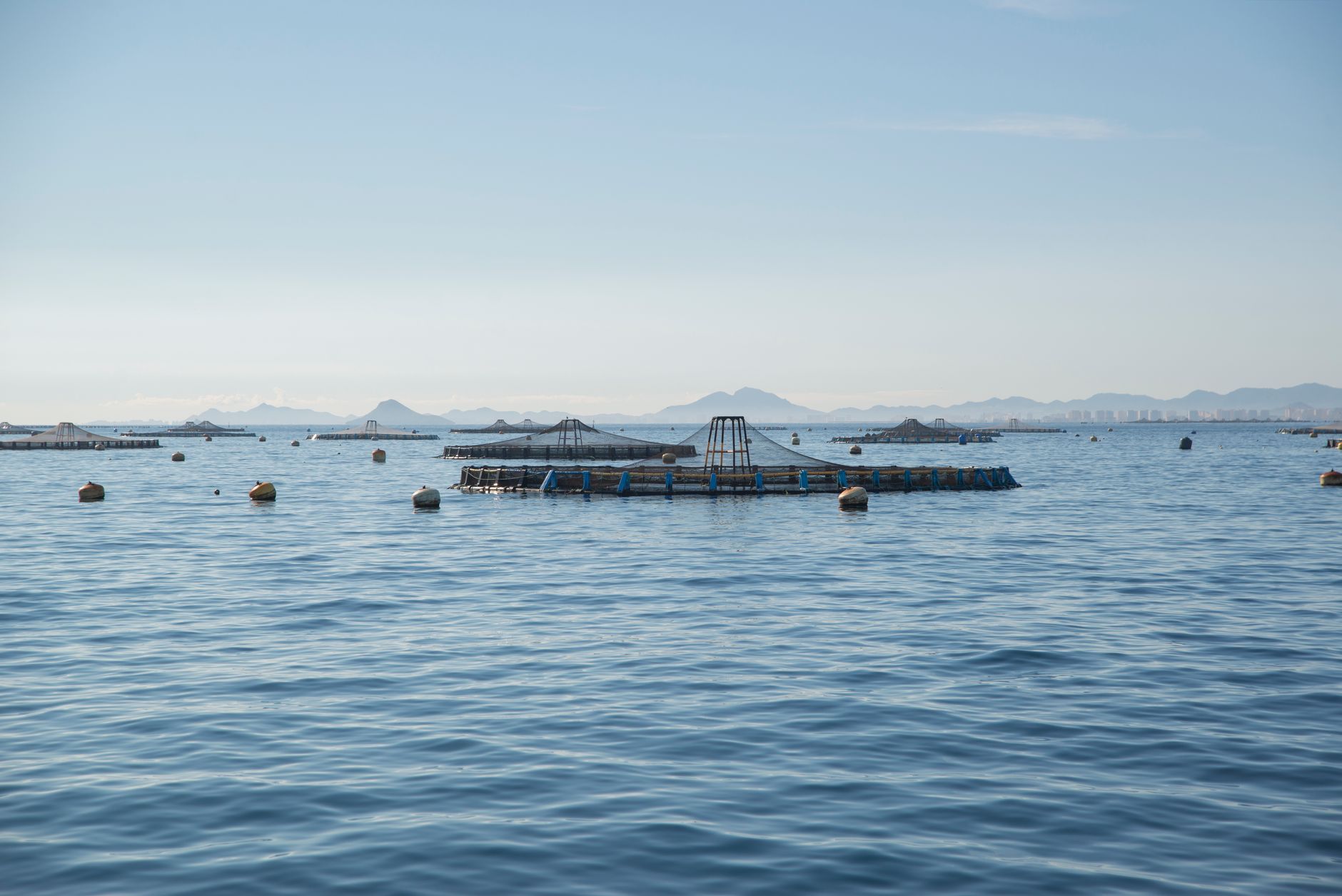 Ballast Water Treatment