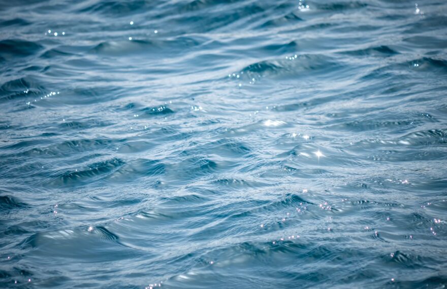 Dollarphotoclub_82767095_2211