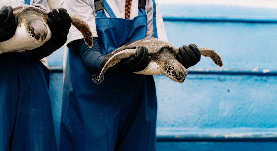 How AI is Protecting Marine Life: Smart Tech for Cleaner Seas
