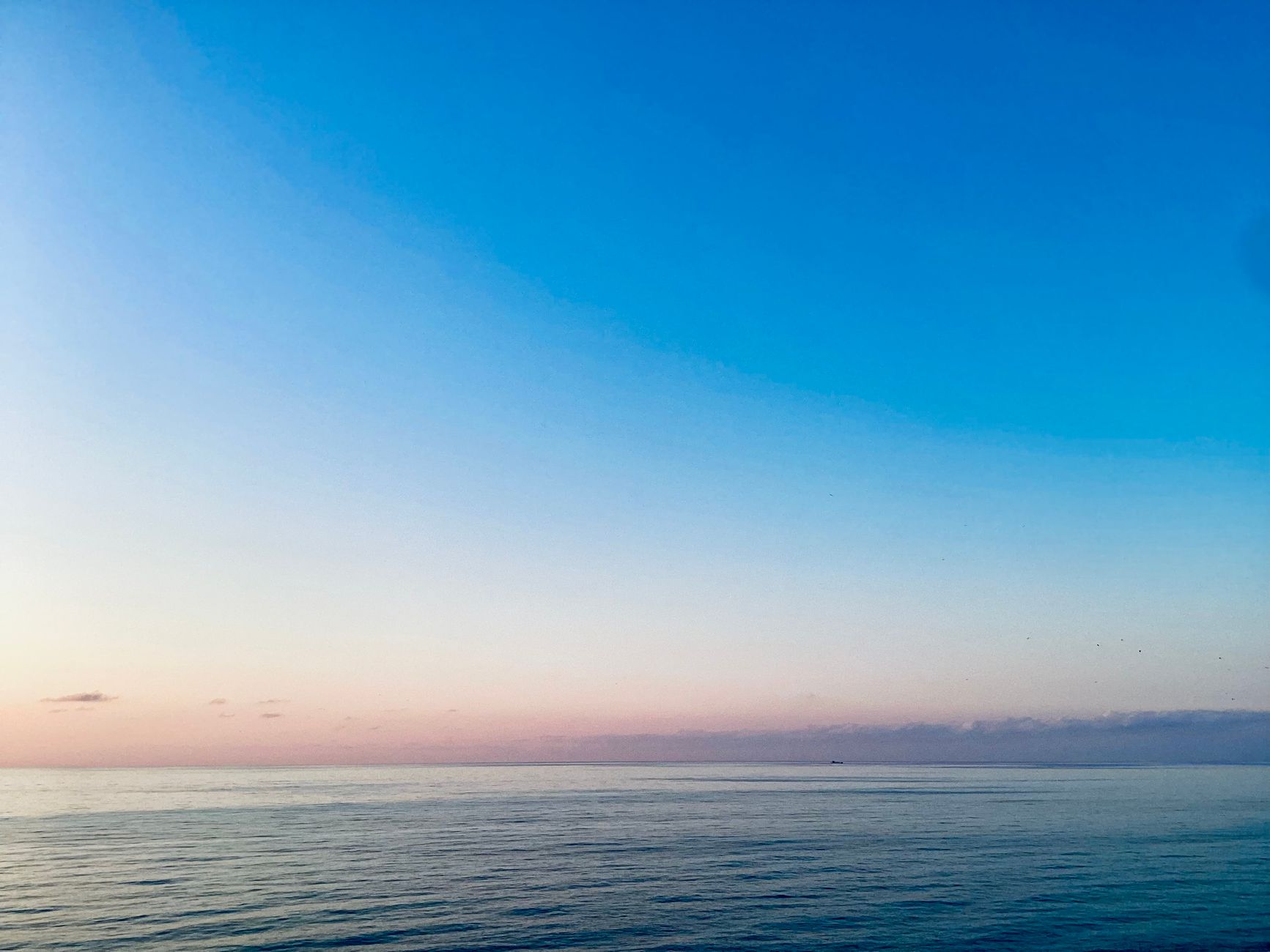 Drones & Robotics at sea monitoring marine ecosystems