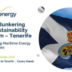 Problem-solving: addressing island and mid-sized port fuel challenges