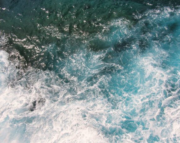 Maritime Week Americas 2026 to convene global shipping and marine fuels leaders in Panama