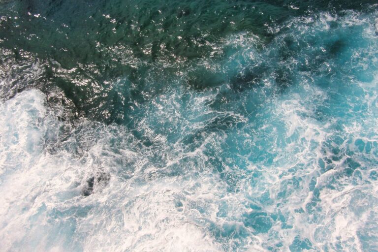 Maritime Week Americas 2026 to convene global shipping and marine fuels leaders in Panama
