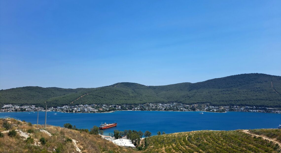 Maritime AI developments to be showcased at Posidonia 2026