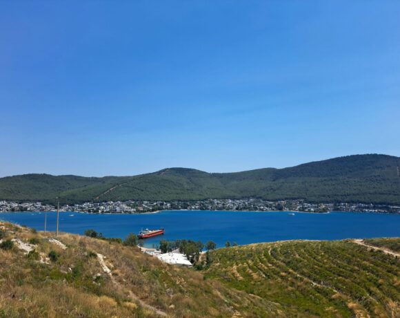 Maritime AI developments to be showcased at Posidonia 2026