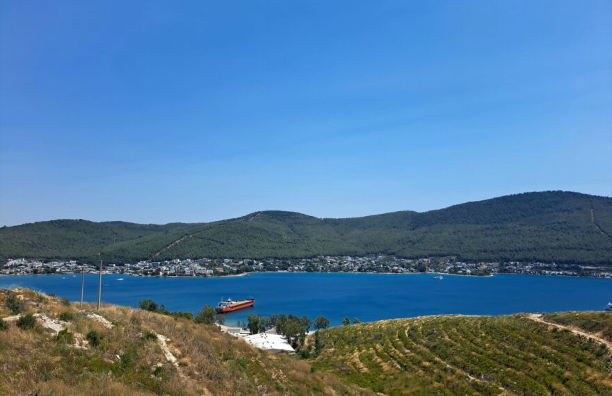 Maritime AI developments to be showcased at Posidonia 2026