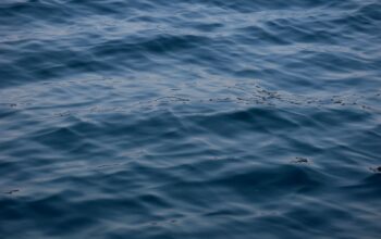 The Ocean Is Sending an Operational Warning - and We Need to Take Notice